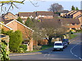 Merrow Park Roofscape