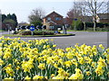 Merrow Common Roundabout