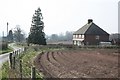 Potato Fields Near Hanyards