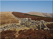 NT0909 : Gates, walls and fences, Stot Knowe by Chris Eilbeck