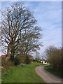 Church Lane, Atwick