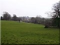 Trees and Houses