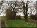 Lane End and Field Entrances, near Colton Junction