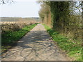 Road leading to Elhampark Wood