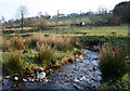 Cynllaith stream in sheep pasture