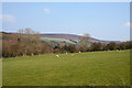 View towards Moel yr Henfaes