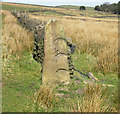 Gatepost