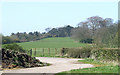 Pasture and woodland near  Hilton Park in Staffordshire