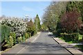 Residential road, Tenterden