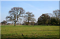 Pasture near Rookery Park Stud