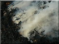 SU2381 : Straw burning near the Ridgeway, Wiltshire by Brian Robert Marshall