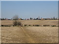 Grafton Way footpath to Greens Norton