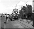 Tram at Seaton, Devon