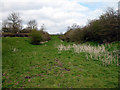 Dismantled Railway near Shipton Lee