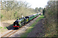 Bluebell Railway train