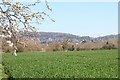 Field  south-West of Ledbury