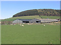 Buildings at Chatton Park Farm