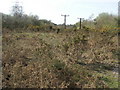 Bourne Valley Nature Reserve