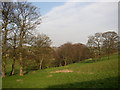 The valley of Hoyle House Beck, Brighouse