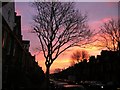 Sunrise over Amesbury Avenue