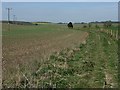 Farmland near Collingbourne Ducis