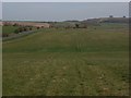 SU2252 : Grassland, Collingbourne Ducis by Andrew Smith