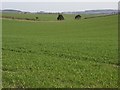 SU2253 : Farmland near Collingbourne Ducis by Andrew Smith