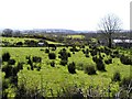 Crandeep Townland