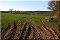 Farmland to the west of Bacton