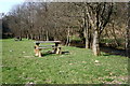 Picnic Site on the banks of the Irfon