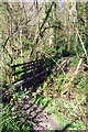 Footpath bridge near Bokes Farm