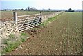 Field boundary, near Didmarton