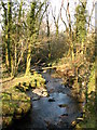 Stream near Gellifawr