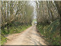 Country Lane, Newton West