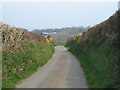 A Pembrokeshire back road