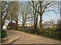 Country Lane at Swmbarch Farm.