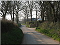 Country lane at Ffynnon Bedr