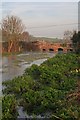 Bridge over River Allen, Wimborne St Giles