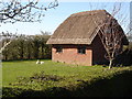 Back of thatched garages