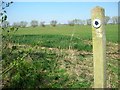 Bridleway joins Yelnow Lane from Podington Airfield