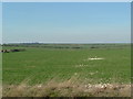 Fields north of Burton Fleming - Grindale Road, east of Burton Fleming