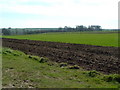 Swaythorpe Deserted Village