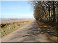 Road on the north border of Caddam Wood