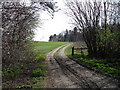 Woodland path south of Hornby