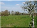 Fields between Mill Farm and Stantons Dairy