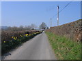 Lon Wledig uwchben Stepaside / Country Lane above Stepaside