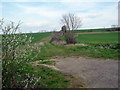 Footpath near Hoo Farm