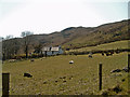 Cottage on the slopes of Cratlieve