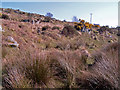 Rocky hillside