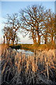 TL1390 : Pond near Folksworth by Julian Dowse